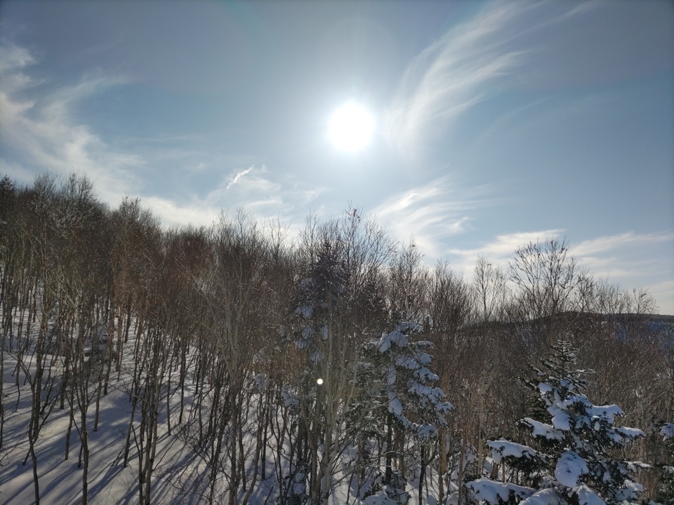 DSC_4443_mid.jpg