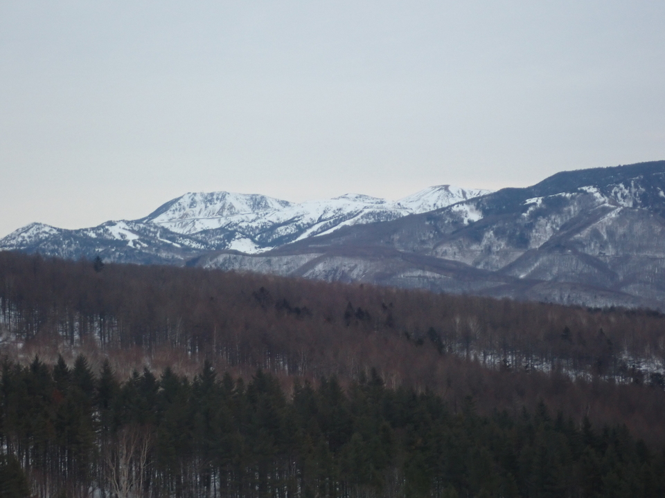 P3159904_mid.jpg