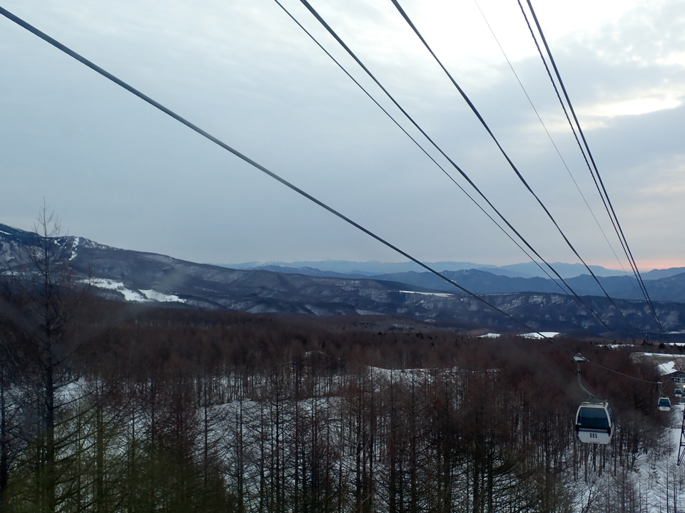 P3159915_mid.jpg