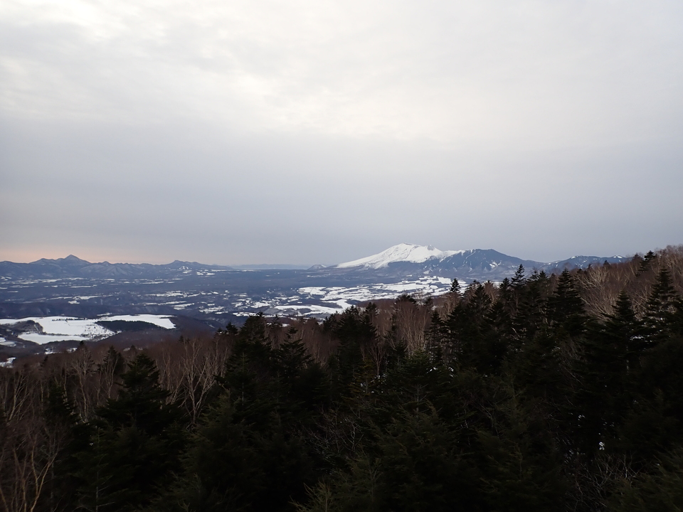 P3159925_mid.jpg