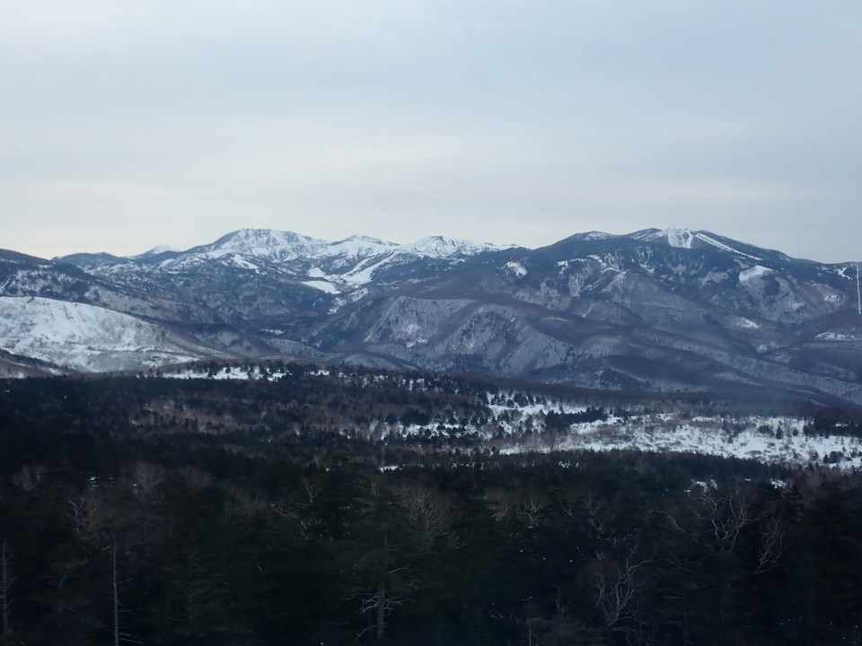 P3159933_mid.jpg