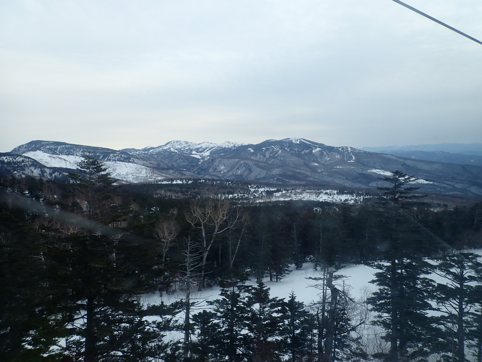 P3159936_mid.jpg