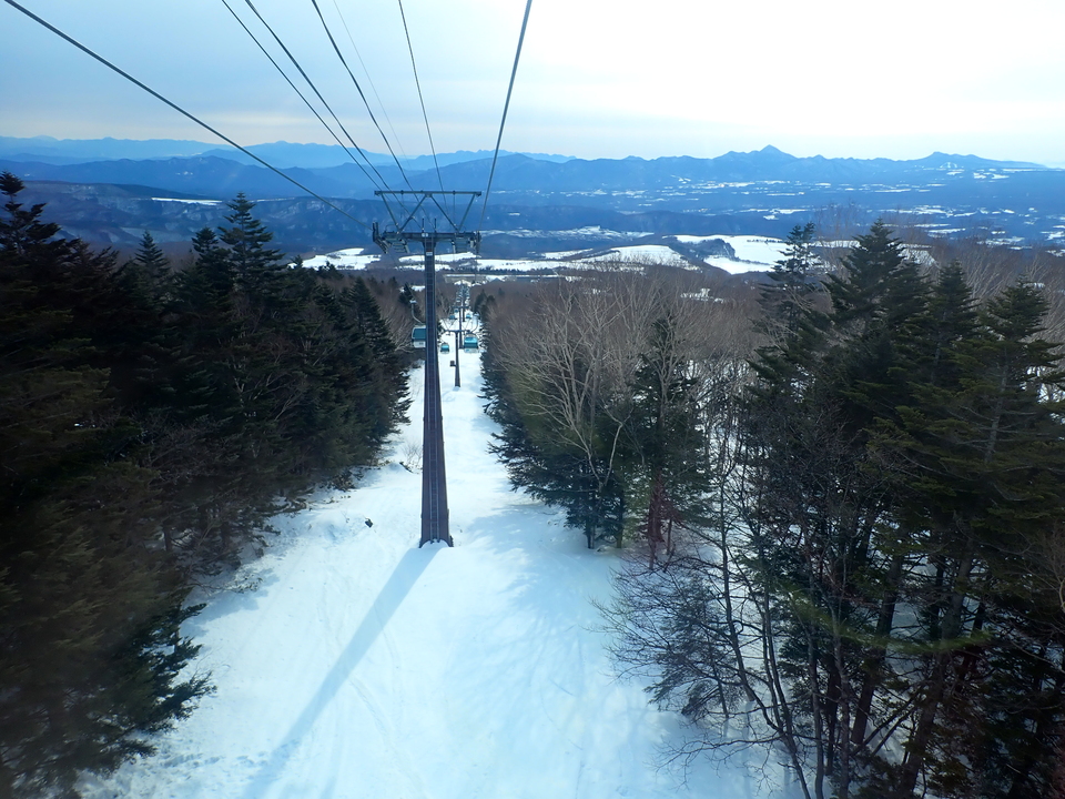 P3159938_mid.jpg