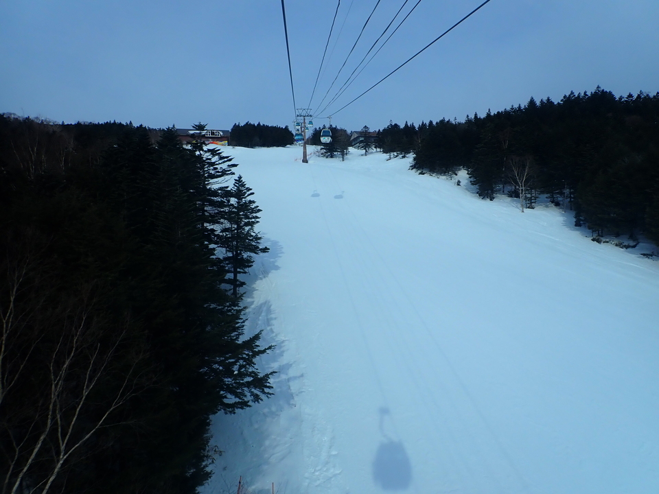 P3159943_mid.jpg