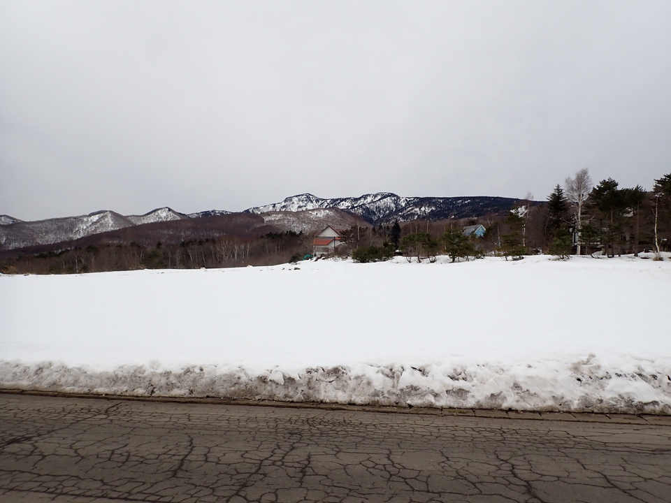 P3159958_mid.jpg