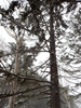 P3160048_thumb.png