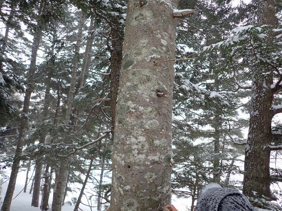 P3160085_mid.jpg