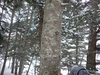 P3160085_thumb.png