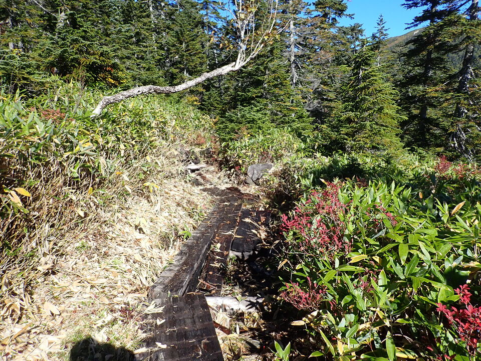 P9193650_mid.jpg