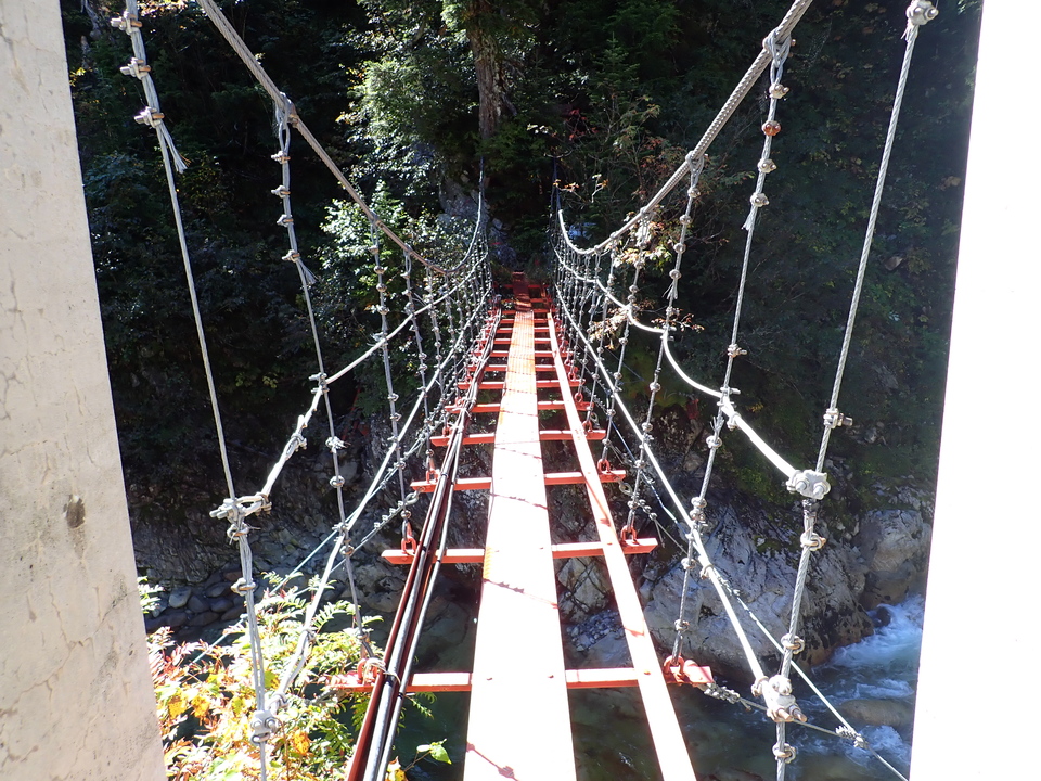 P9193703_mid.jpg