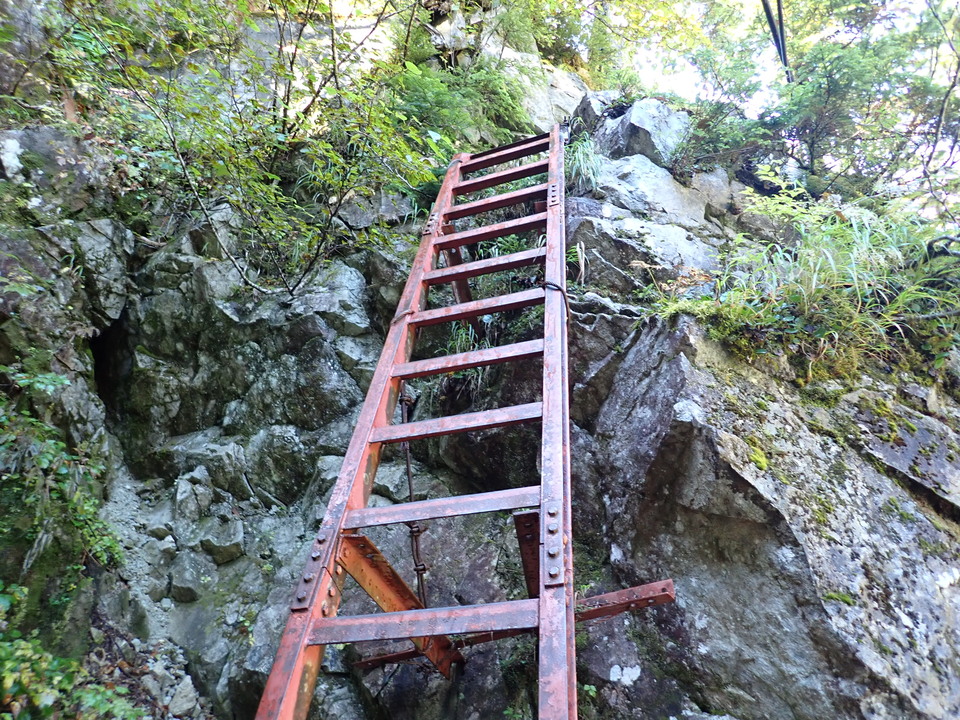 P9193713_mid.jpg