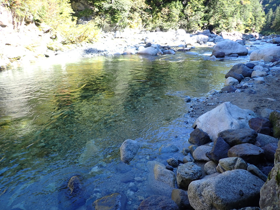 P9193719_mid.jpg