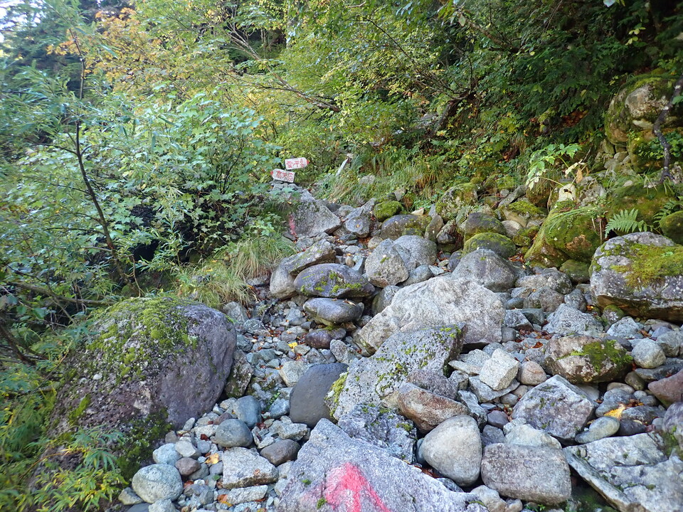 P9193723_mid.jpg