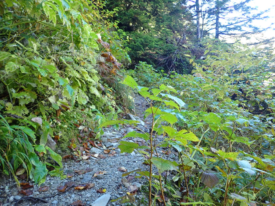 P9193727_mid.jpg