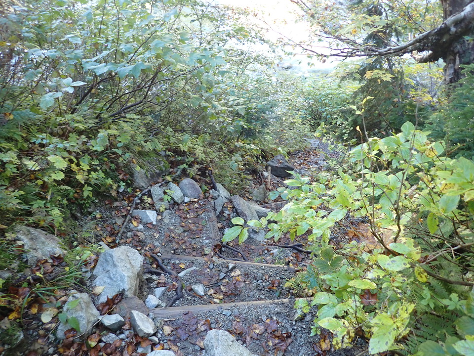 P9193728_mid.jpg