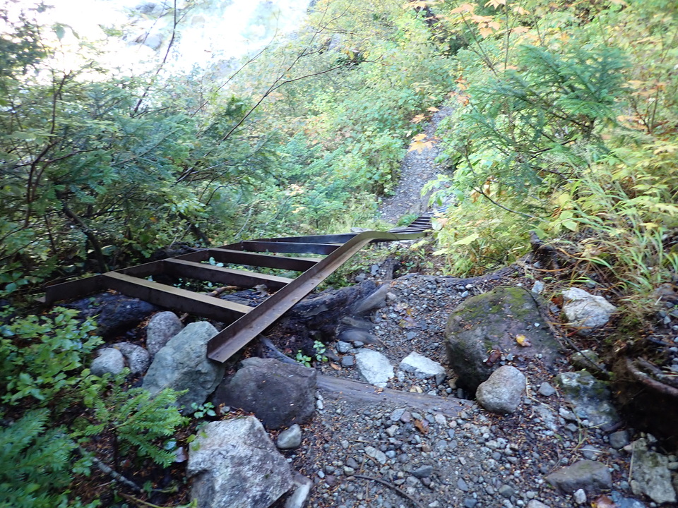 P9193731_mid.jpg