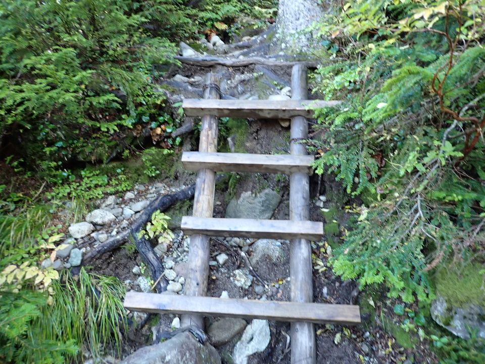 P9193733_mid.jpg