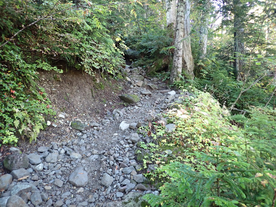P9193738_mid.jpg