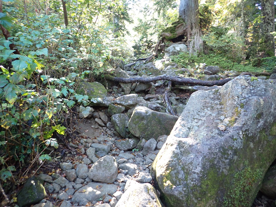 P9193744_mid.jpg