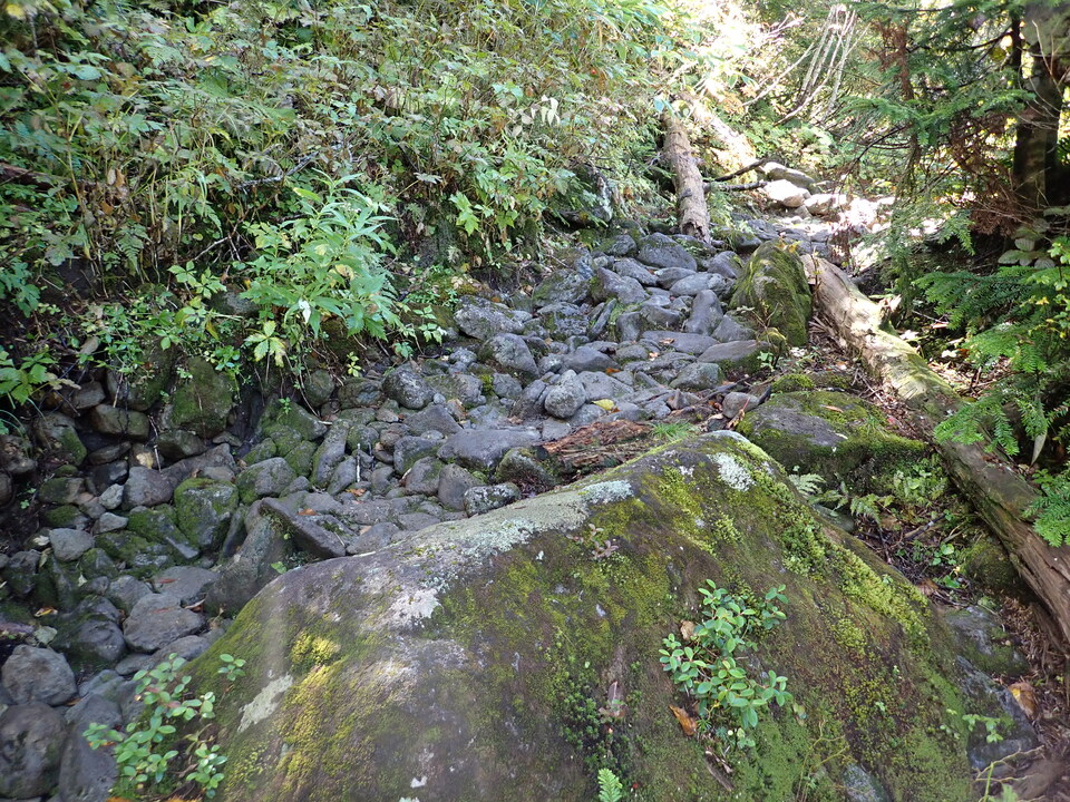 P9193748_mid.jpg