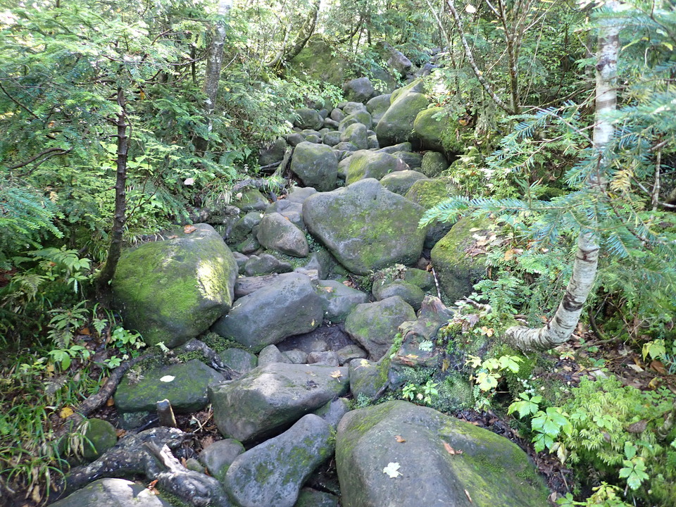 P9193755_mid.jpg