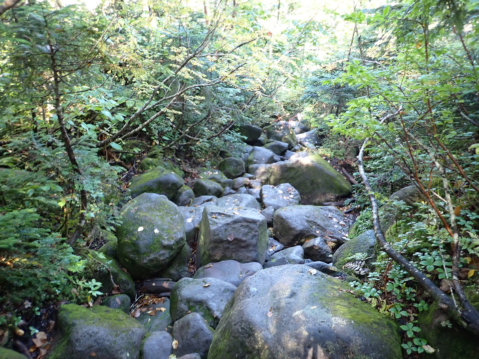 P9193756_mid.jpg