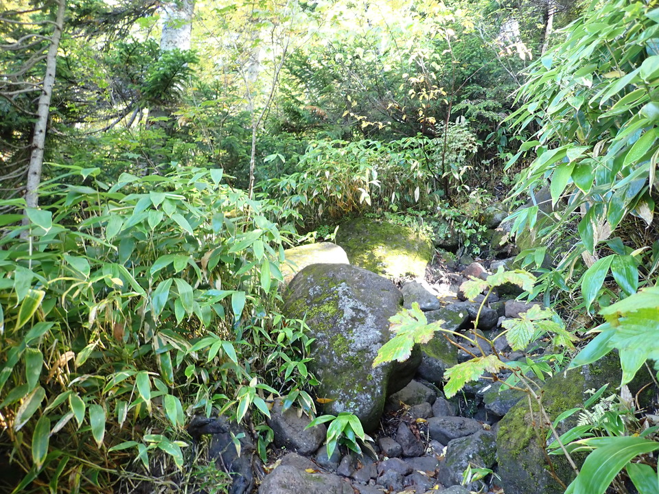P9193767_mid.jpg