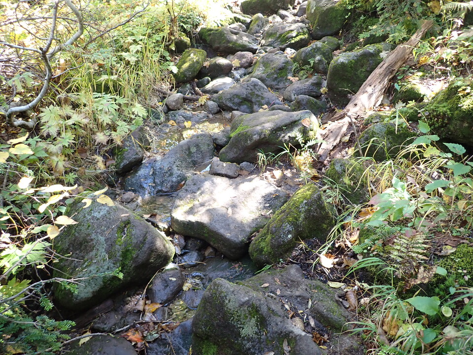P9193776_mid.jpg