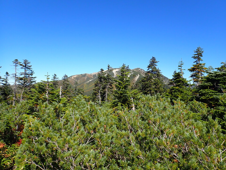 P9193782_mid.jpg