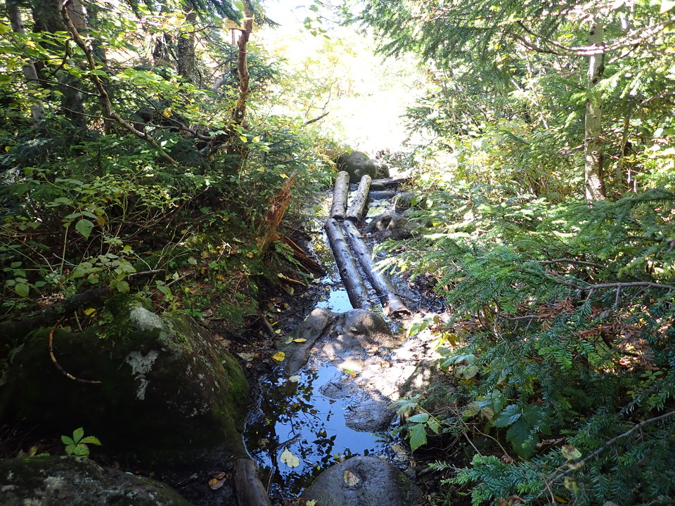 P9193789_mid.jpg