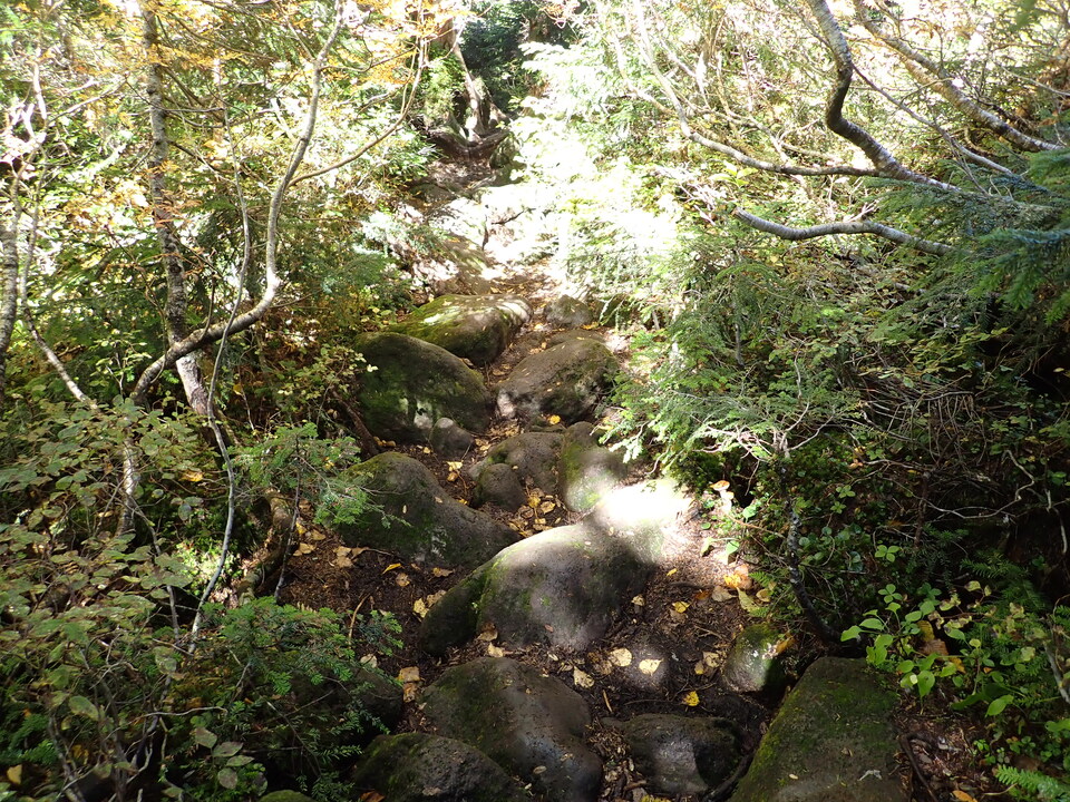 P9193791_mid.jpg