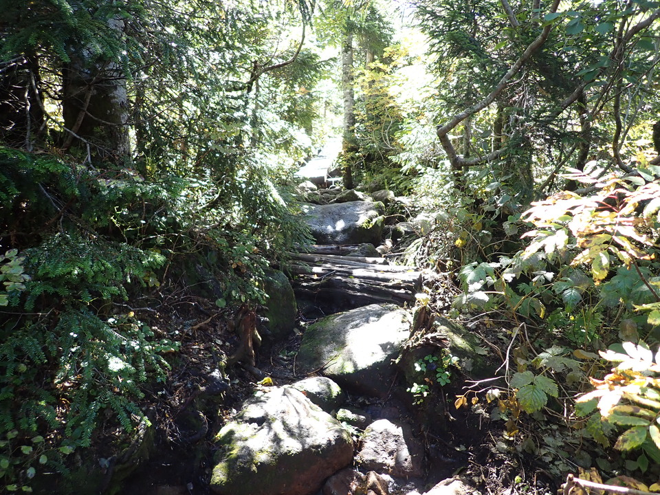 P9193792_mid.jpg