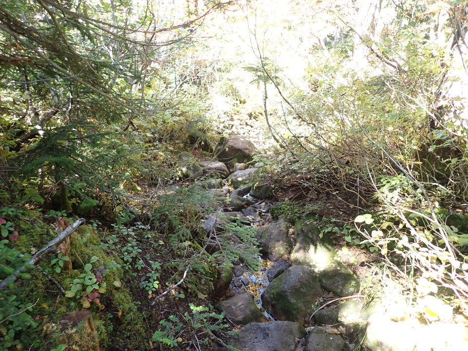 P9193793_mid.jpg