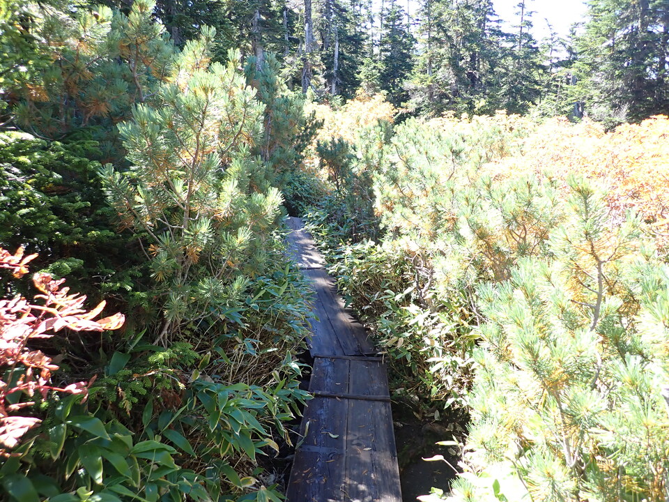P9193796_mid.jpg