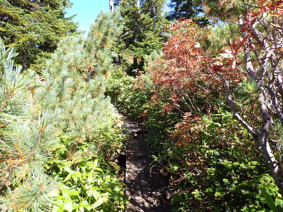 P9193797_mid.jpg