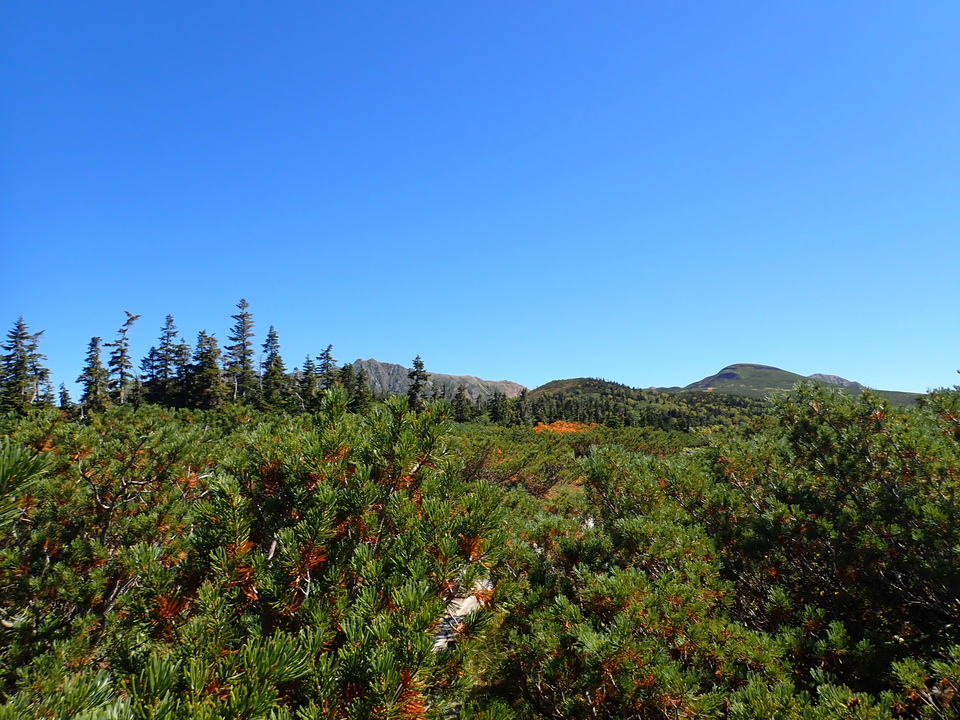 P9193799_mid.jpg