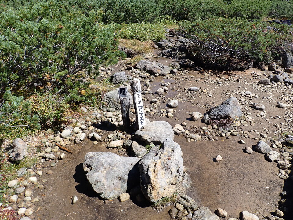 P9193802_mid.jpg