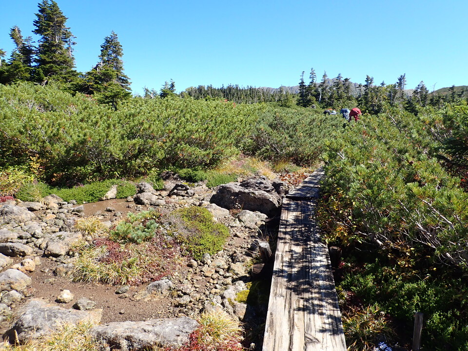 P9193807_mid.jpg