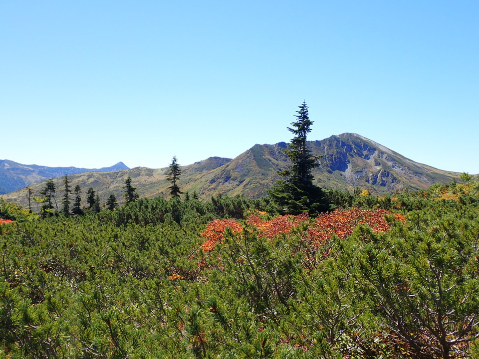 P9193808_mid.jpg