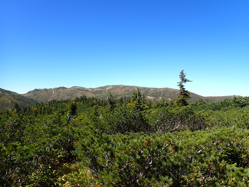 P9193821_mid.jpg