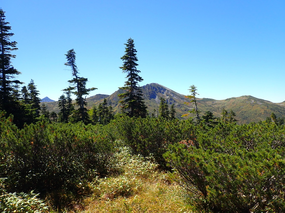 P9193823_mid.jpg