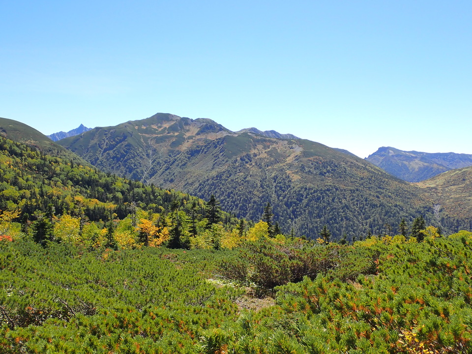 P9193827_mid.jpg