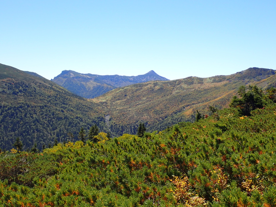 P9193828_mid.jpg