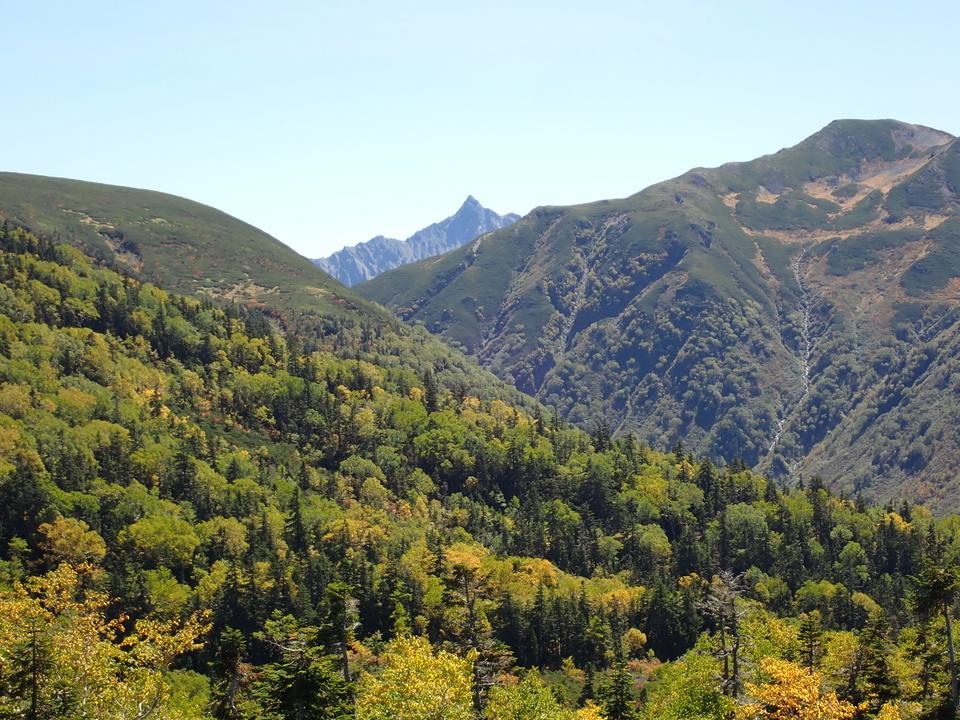 P9193829_mid.jpg