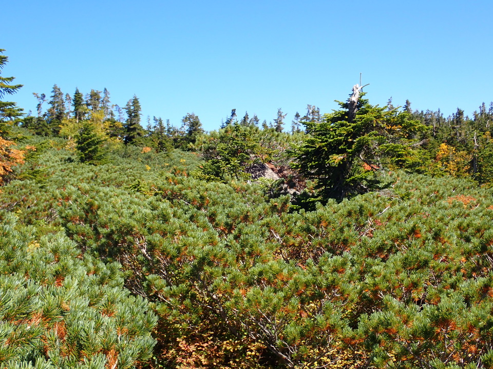 P9193832_mid.jpg