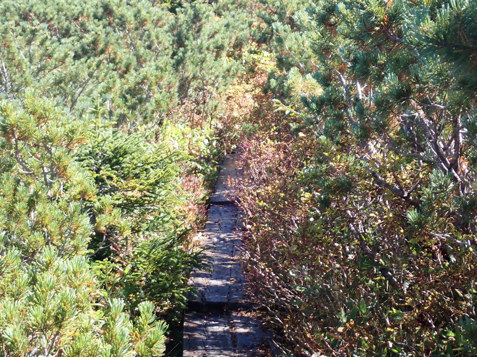 P9193835_mid.jpg