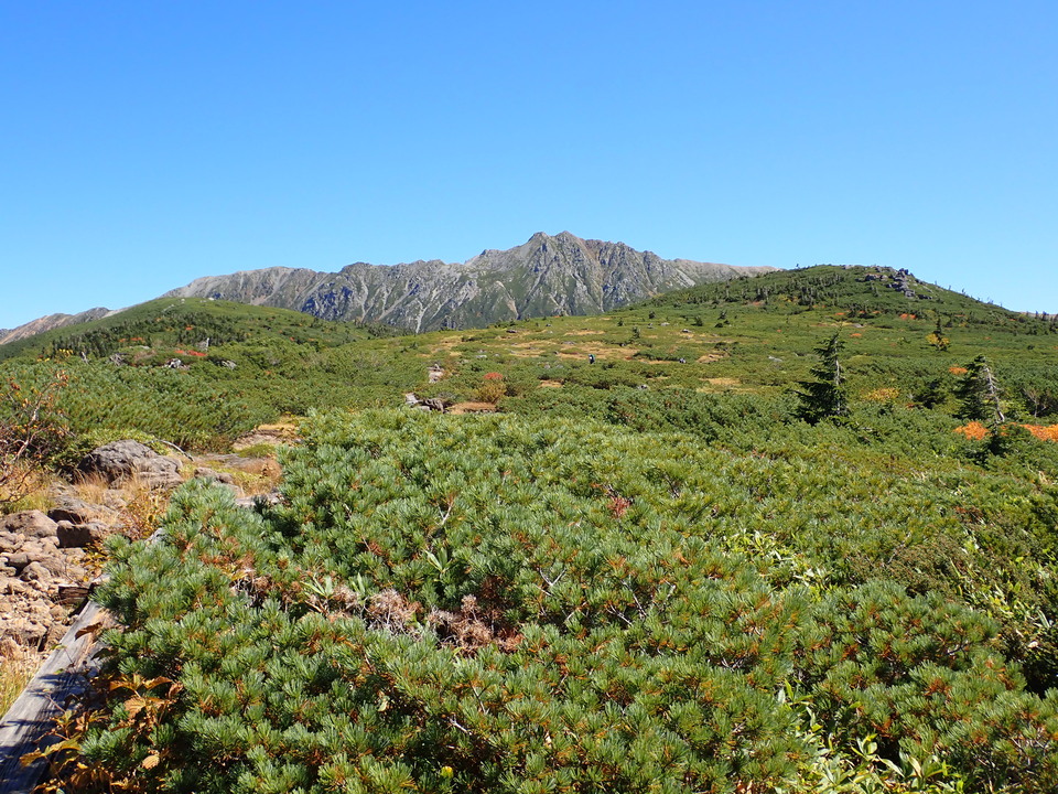 P9193838_mid.jpg