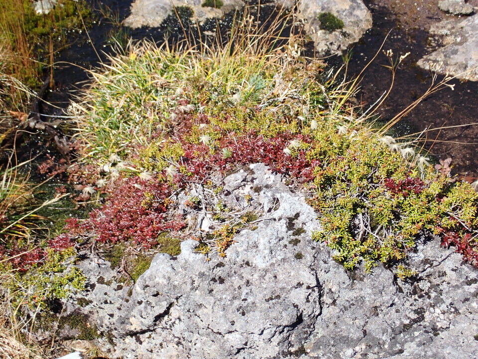 P9193848_mid.jpg
