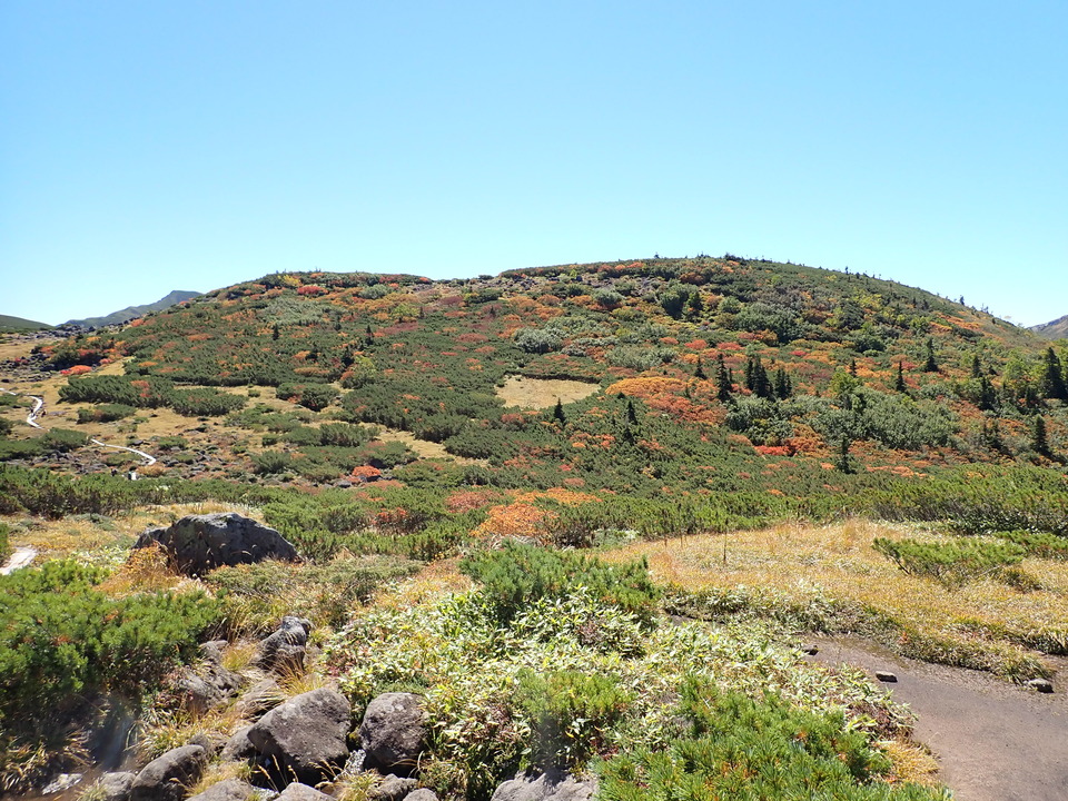 P9193855_mid.jpg