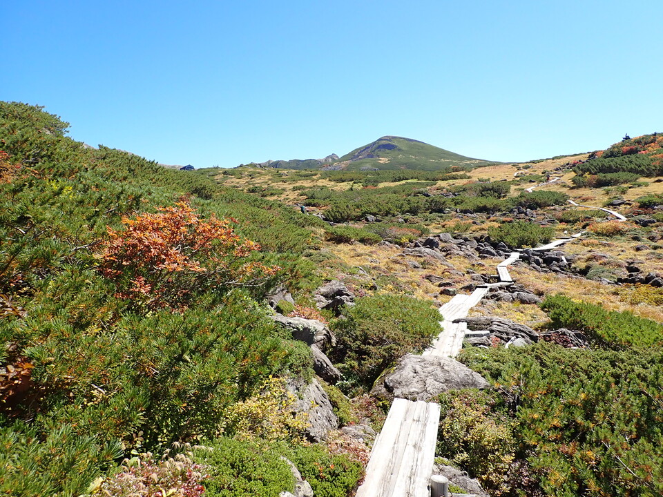 P9193856_mid.jpg
